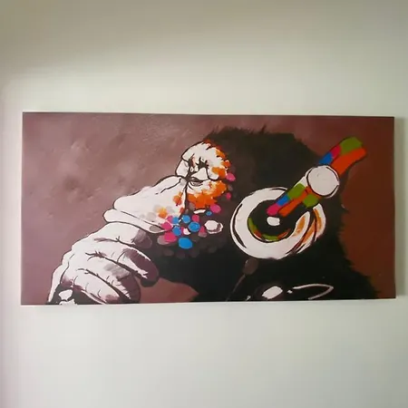 Comodo E Grazioso